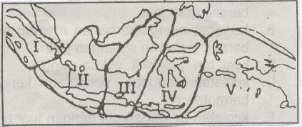 1_Pic4